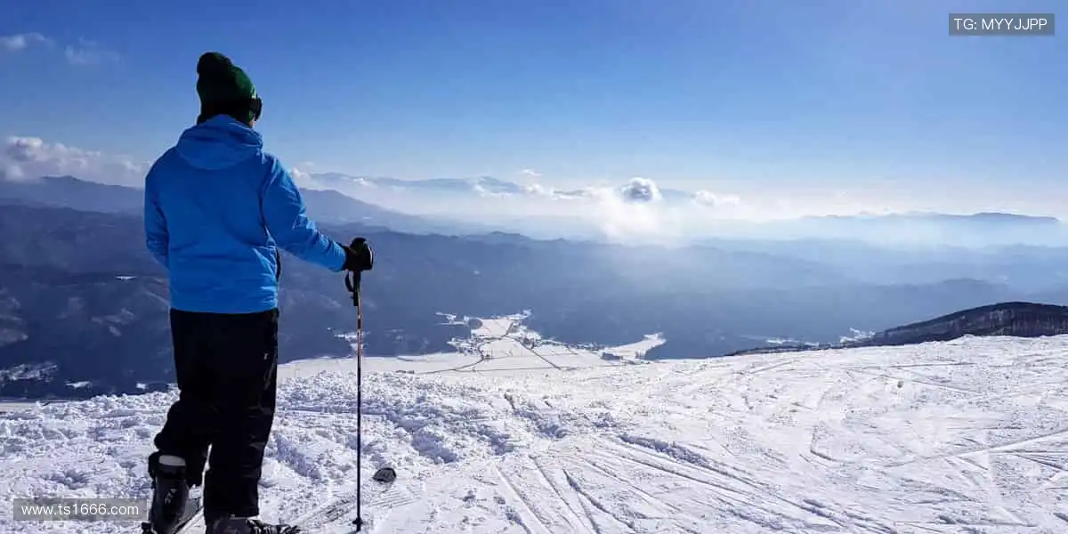 ⏯️多屏互动实时竞猜，做赛场上的隐形战术大师！💬